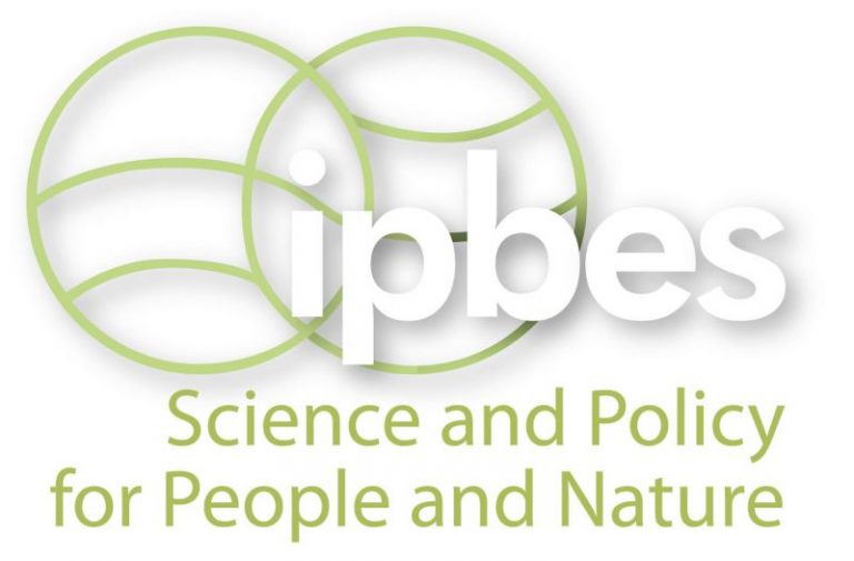 IPBES Fifth Plenary | TEEB