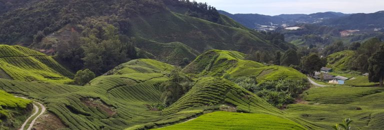 Malaysia - The Economics of Ecosystems and Biodiversity